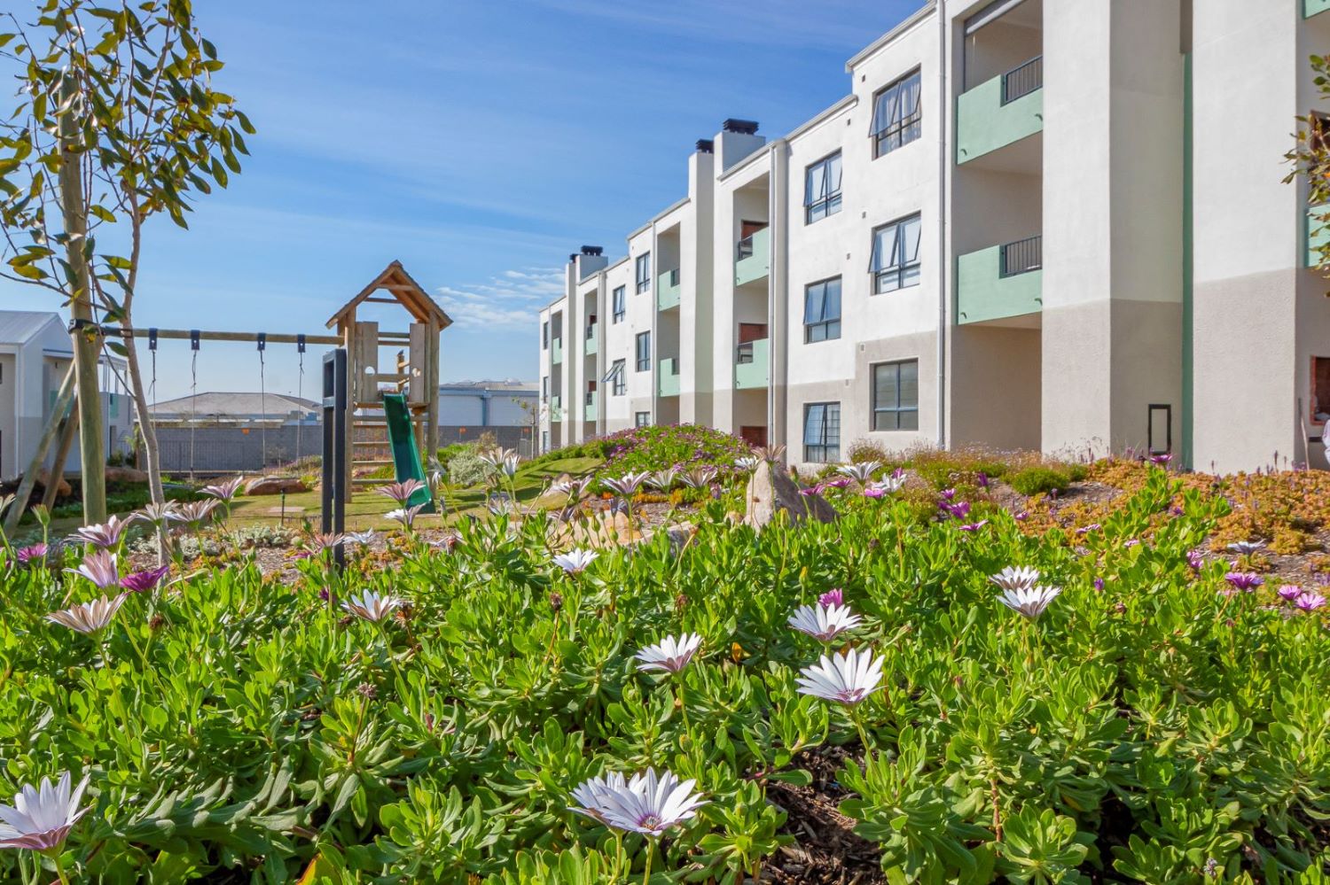 Introduction slide #4